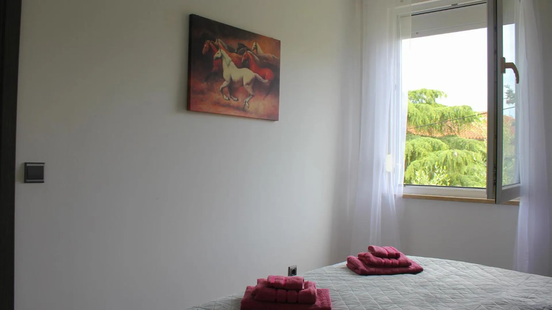 L&S Apartment Pula